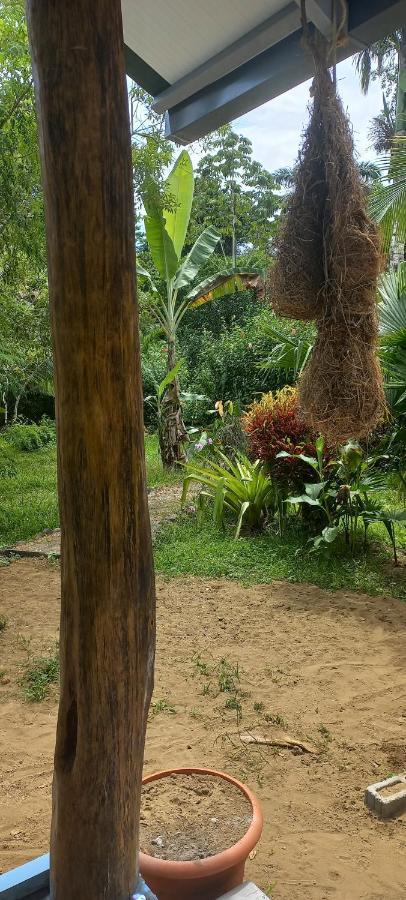 Casa Katharina Cahuita Exterior foto